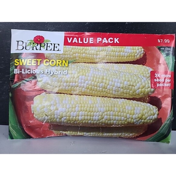 Burbee Sweet Corn Bi-Licious Hybred Seeds - Picture 3 of 10